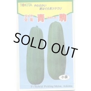 画像: 送料無料　[瓜類]　青駒　100粒　トキタ種苗(株)
