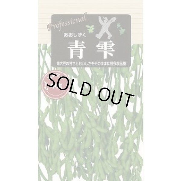 画像1: 送料無料　[枝豆]　青雫　70ml(およそ140粒)　雪印種苗(株) (1)