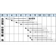 画像2: [カリフラワー]　バイオレットクイン　0.6ml　タキイ種苗（株）　RF　 (2)