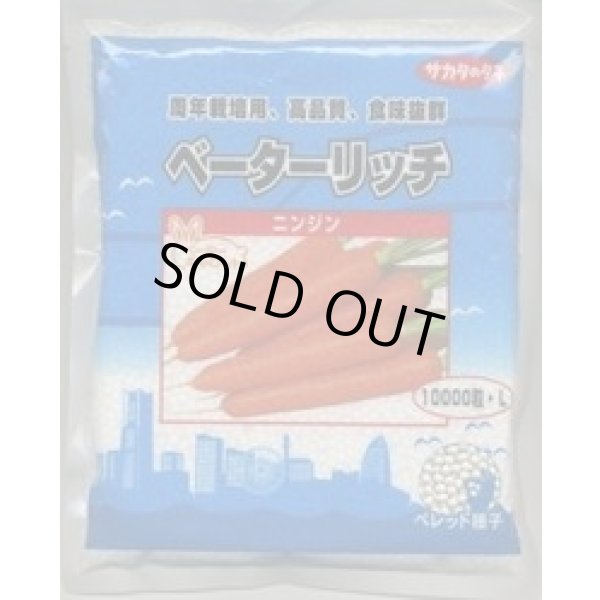画像1: 送料無料[人参] ベーターリッチ 1万粒 Lサイズ ペレット種子 (株)サカタのタネ (1)