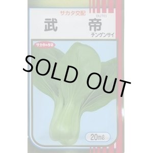 画像: [中国野菜]　チンゲンサイ　武帝チンゲンサイ　20ml