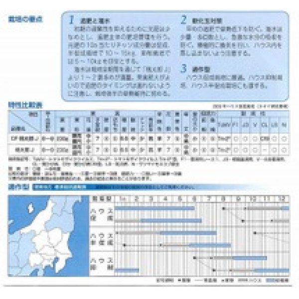 画像2: [トマト/桃太郎系]　送料無料！　CF桃太郎J　ペレット1000粒　 (2)