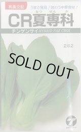 画像: 送料無料　[中国野菜]　チンゲンサイ　CR夏専科　2.5ml　(株)タカヤマシード