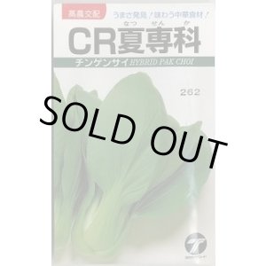 画像: 送料無料　[中国野菜]　チンゲンサイ　CR夏専科　2.5ml　(株)タカヤマシード