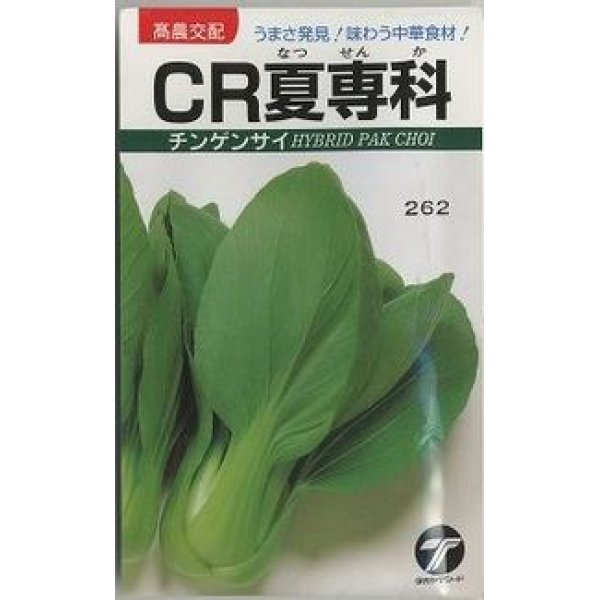 画像1: [中国野菜]　チンゲンサイ　CR夏専科　2.5ml  　（株）タカヤマシード (1)