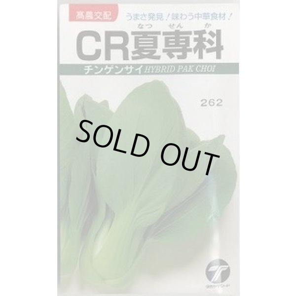 画像1: 送料無料　チンゲンサイ　CR夏専科　2.5ml　(株)タカヤマシード (1)