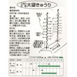 画像2: [キュウリ]　大望　20粒　（株）ときわ研究場 (2)