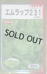 画像: 送料無料　[レタス]　エムラップ231　20ml　（株）サカタのタネ