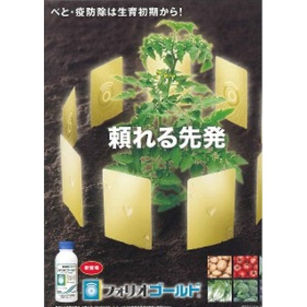 画像2: 農薬　殺菌剤　フォリオゴールド　500ml 　 シンジェンタジャパン（株） (2)