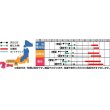 画像2: [ゴーヤ]　ゴーヤ8粒　サカタのタネ（株） (2)