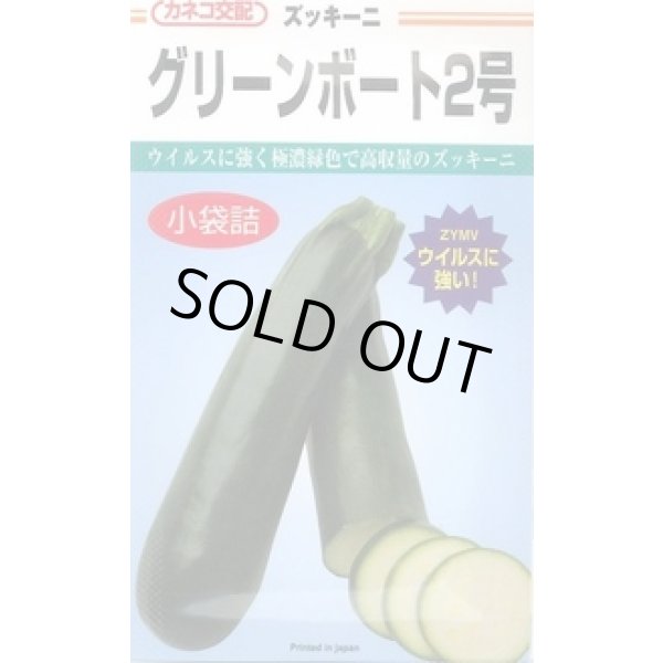 画像1: 送料無料　[ズッキーニ]　グリーンボート2号　100粒　カネコ種苗（株） (1)