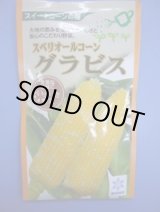画像: 送料無料　[とうもろこし]　グラビス　200粒　雪印種苗（株）