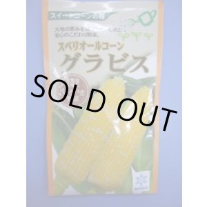 画像: 送料無料　[とうもろこし]　グラビス　200粒　雪印種苗（株）
