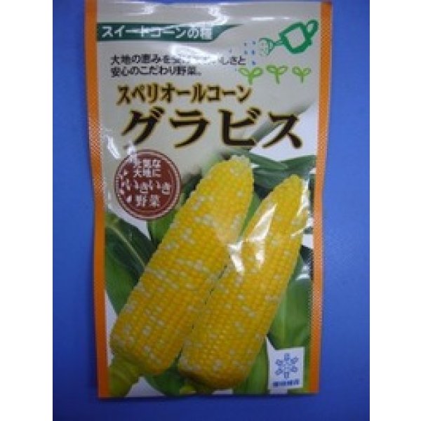 画像1: 送料無料　[とうもろこし]　グラビス　200粒　雪印種苗（株） (1)
