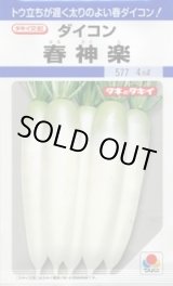 画像: 送料無料　[大根]　春神楽　3.5ml　タキイ種苗(株)　DF