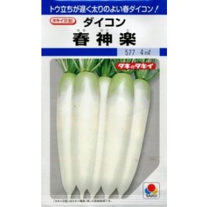 画像: 送料無料　[大根]　春神楽　3.5ml　タキイ種苗(株)　DF