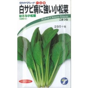 画像: 送料無料　[小松菜]　はるな小松菜　6ml　(株)タカヤマシード