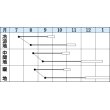 画像2: [大根]　早太り聖護院　18ml　タキイ種苗（株）　DF (2)