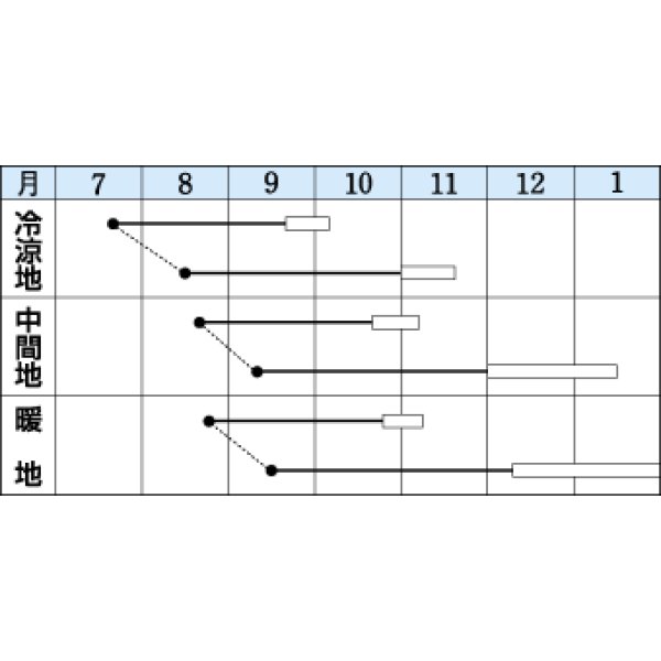 画像2: 送料無料　[大根]　早太り聖護院　18ml　タキイ種苗(株)　DF (2)