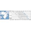 画像2: [かぼちゃ]　ほっこり133　100粒　タキイ種苗（株） (2)