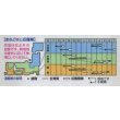 画像2: 送料無料　[かぶ]　福小町　3.5ml　タキイ種苗(株)　RF (2)