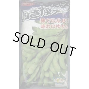画像: [枝豆]　いきなまる　1L　(株)サカタのタネ