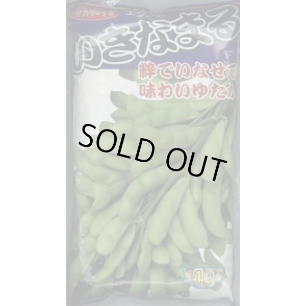 画像1: [枝豆]　いきなまる　1L　(株)サカタのタネ (1)