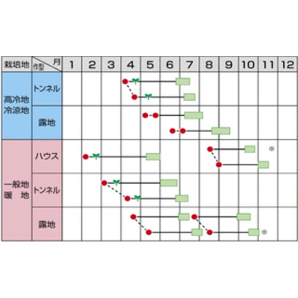画像5: [枝豆] いきなまる 1L (株)サカタのタネ (5)