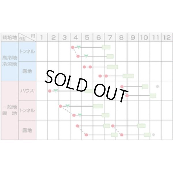 画像5: [枝豆] いきなまる 1L (株)サカタのタネ (5)