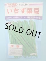 画像: 送料無料　[いんげん]　いちず菜豆　200粒　カネコ種苗（株）