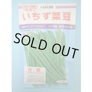 画像: 送料無料　[いんげん]　いちず菜豆　200粒　カネコ種苗（株）