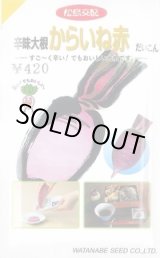 画像: [大根] 辛味からいね赤 5.4ml (株)渡辺採種場