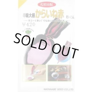 画像: [大根] 辛味からいね赤 5.4ml (株)渡辺採種場