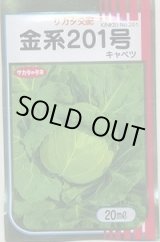 画像: 送料無料　[キャベツ]　金系201号　2000粒　（株）サカタのタネ