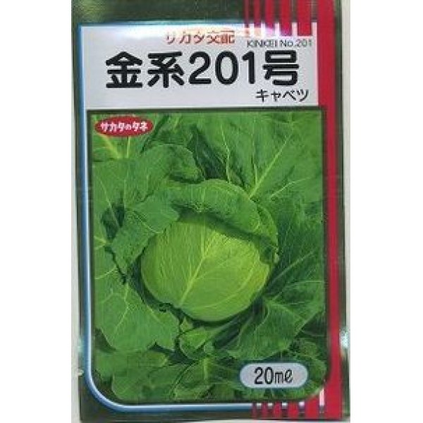 画像1: [キャベツ]　金系201号　2000粒　サカタ交配　 (1)