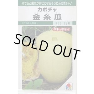 画像: 送料無料　[かぼちゃ]　金糸瓜　16粒　タキイ種苗(株)　GF