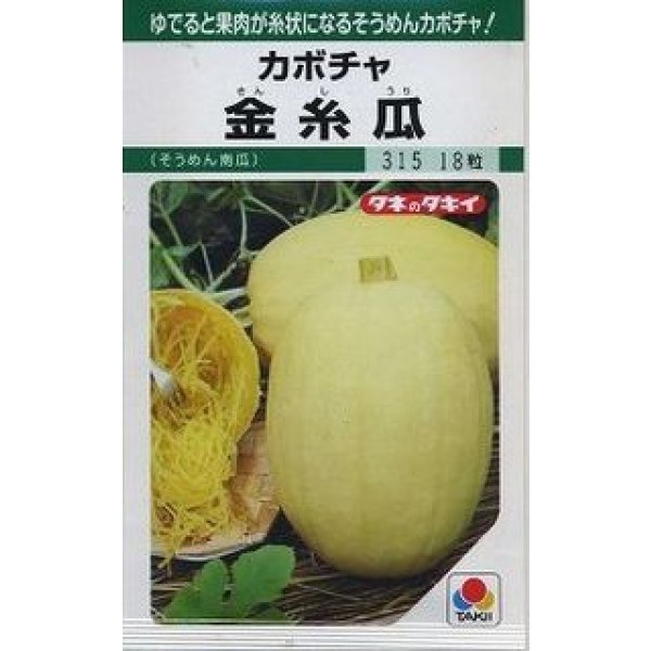 画像1: 送料無料　[かぼちゃ]　金糸瓜　16粒　タキイ種苗(株)　GF (1)