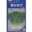 画像1: 送料無料　[葉物]　水菜　京かなで　20ml　タキイ種苗(株) (1)