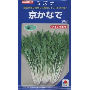 画像: [葉物]　水菜　京かなで　20ml　タキイ種苗（株）