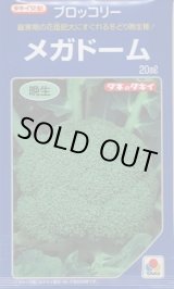 画像: 送料無料　[ブロッコリー]　メガドーム　20ml　生種(コートしてません)　タキイ種苗(株)