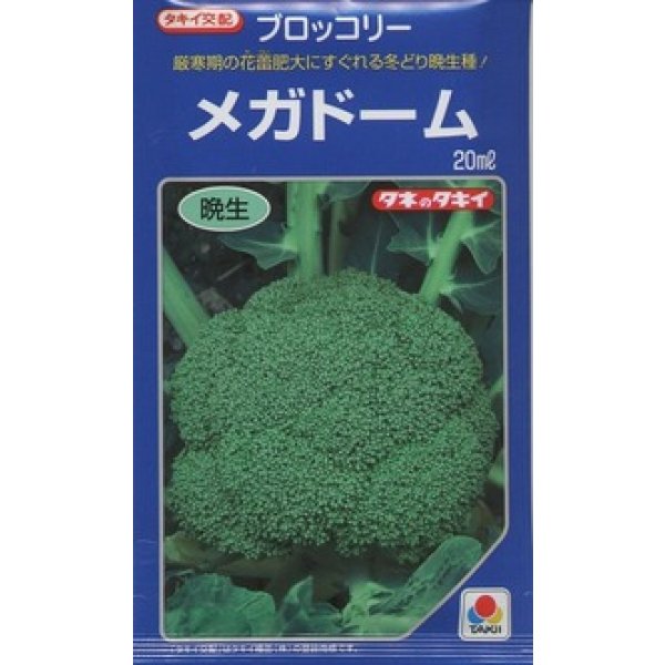 画像1: [ブロッコリー] メガドーム 20ml 生種(コートしてません) タキイ種苗(株) (1)