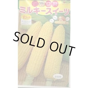 画像: 送料無料　[とうもろこし]　ミルキースイーツ　200粒　トキタ種苗(株)