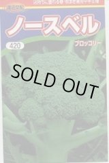 画像: 送料無料　[ブロッコリー]　ノースベル　60粒　渡辺農事（株）