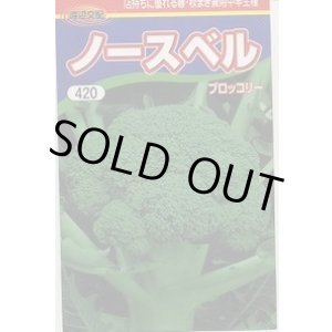 画像: 送料無料　[ブロッコリー]　ノースベル　60粒　渡辺農事（株）