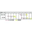 画像2: 送料無料　[葉物]　野沢菜　4.5ml　タキイ種苗　MF (2)