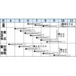 画像2: [ほうれんそう]　おかめ　1L　タキイ種苗（株） (2)