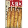 画像1: [牛蒡]　送料無料！　大浦太　1L　渡辺農事 (1)