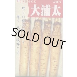 画像: 送料無料　[牛蒡]　大浦太　1dl（2025年10％増量）　丸種（株）