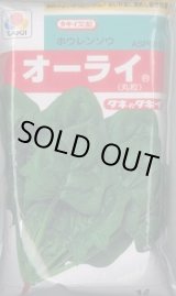 画像: [ほうれんそう]　オーライ　1L　タキイ種苗(株)