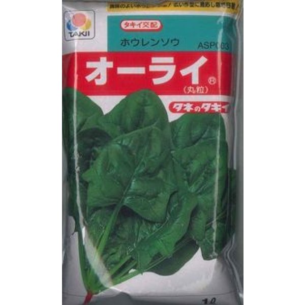 画像1: [ほうれんそう]　オーライ　1L　タキイ種苗(株) (1)